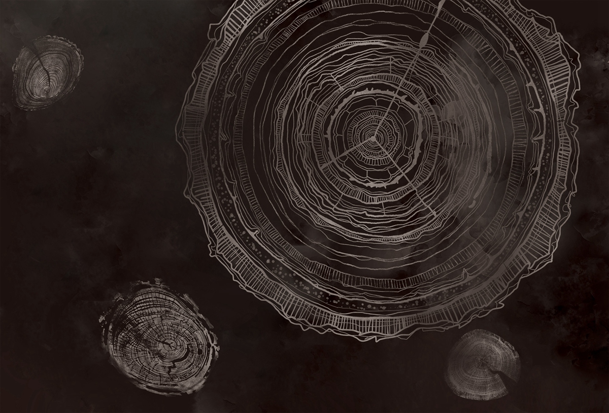 创意星空（中国）官方体育网站 - 附件|装饰画/墙饰|办公星空（中国）官方体育网站|星空（中国）官方体育网站星空（中国）官方体育网站|万物生长-原创定制壁画